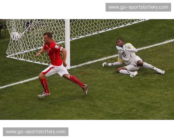 里约热内卢的星光初绽：2014阿根廷与波黑的初次碰杯